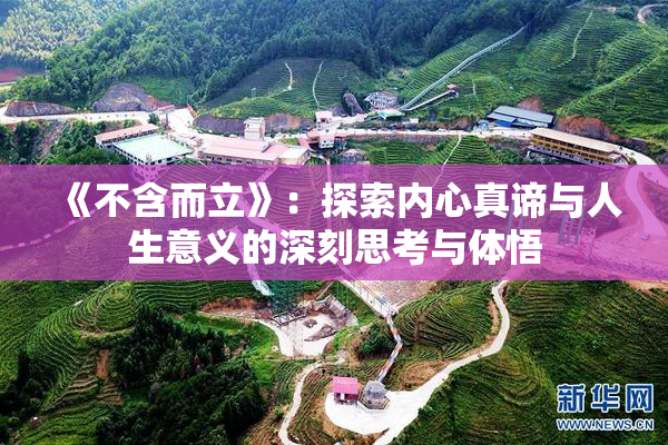 《不含而立》：探索内心真谛与人生意义的深刻思考与体悟