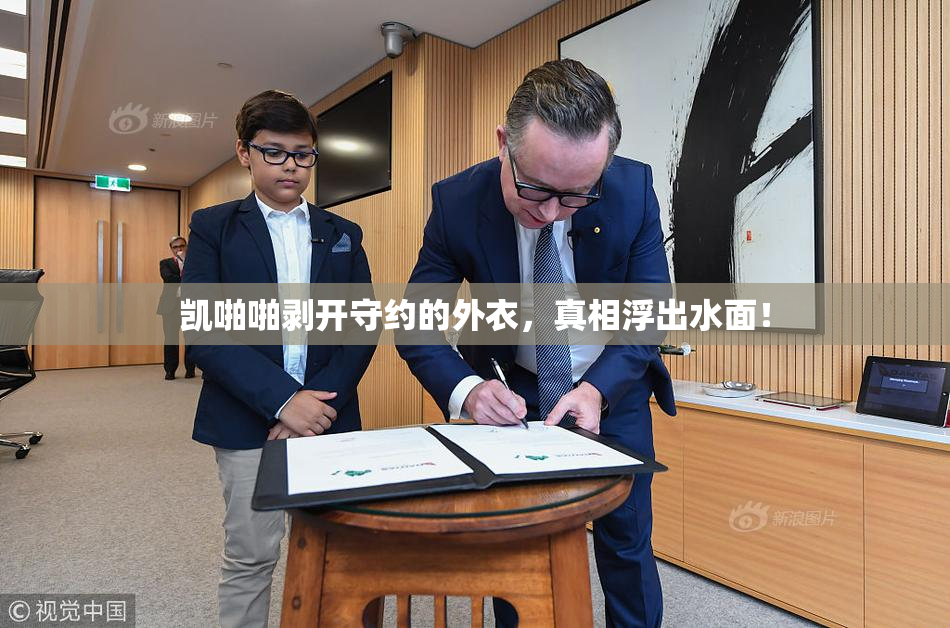凯啪啪剥开守约的外衣，真相浮出水面！