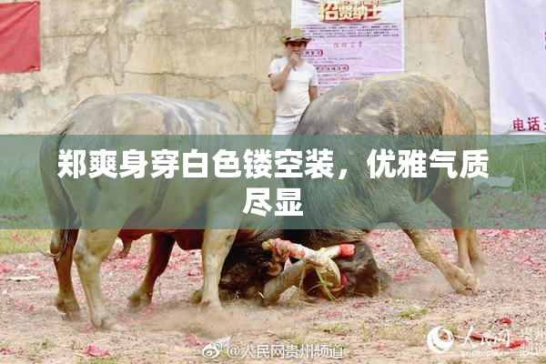 郑爽身穿白色镂空装，优雅气质尽显