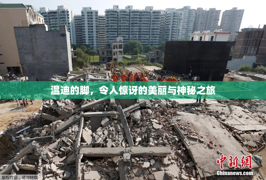 温迪的脚，令人惊讶的美丽与神秘之旅