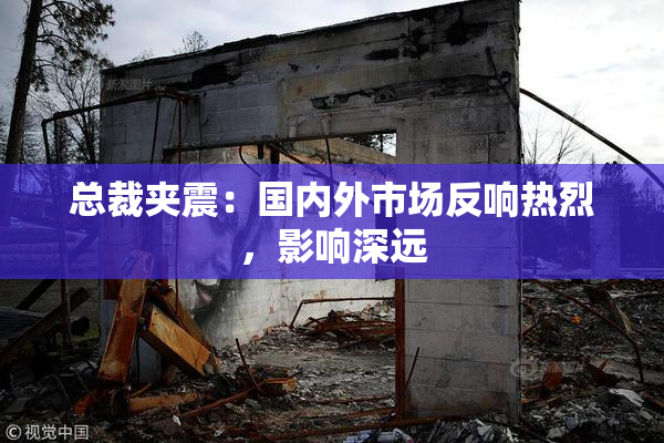 总裁夹震：国内外市场反响热烈，影响深远