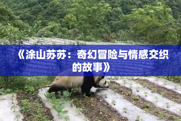 《涂山苏苏：奇幻冒险与情感交织的故事》