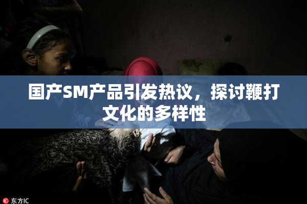 国产SM产品引发热议，探讨鞭打文化的多样性