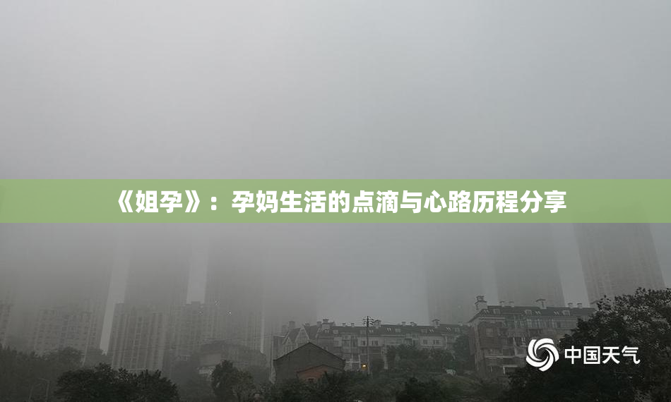 《姐孕》：孕妈生活的点滴与心路历程分享