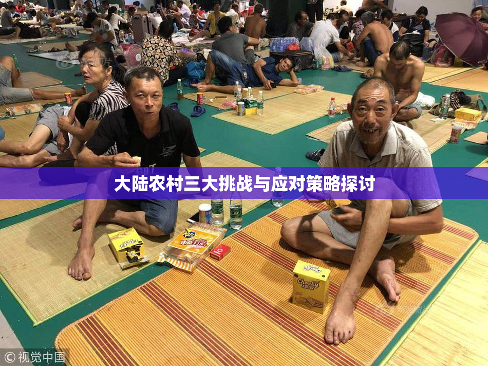 大陆农村三大挑战与应对策略探讨