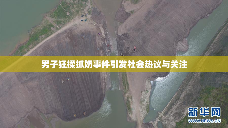 男子狂揉抓奶事件引发社会热议与关注