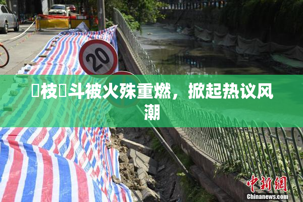 狛枝凪斗被火殊重燃，掀起热议风潮