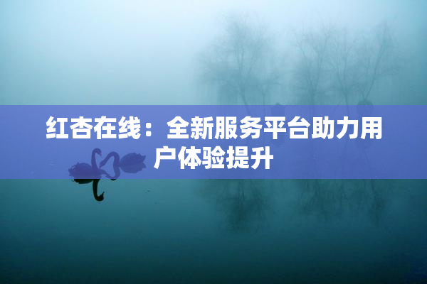 红杏在线：全新服务平台助力用户体验提升