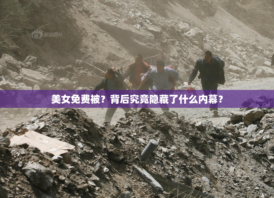 美女免费被？背后究竟隐藏了什么内幕？