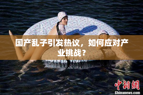 国产乱子引发热议，如何应对产业挑战？