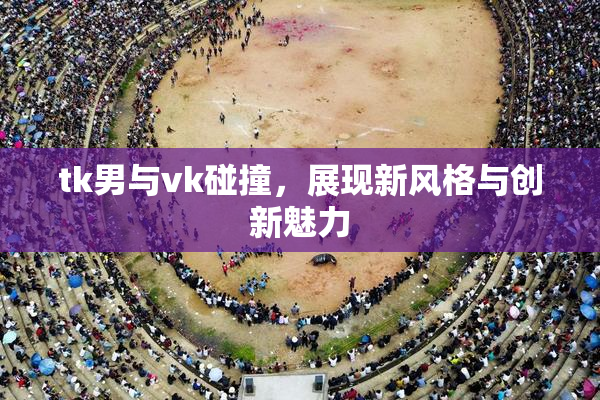 tk男与vk碰撞，展现新风格与创新魅力