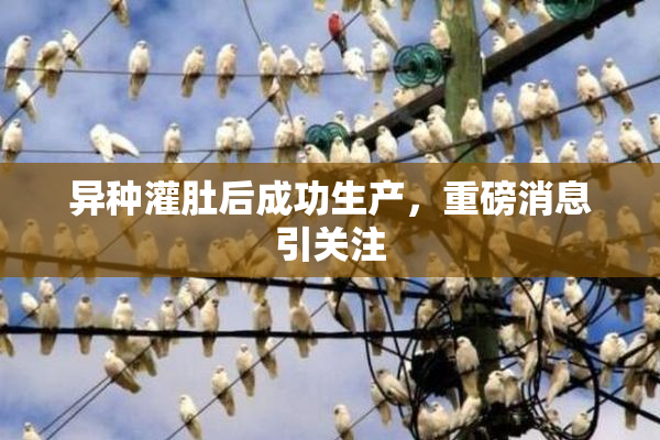 异种灌肚后成功生产，重磅消息引关注