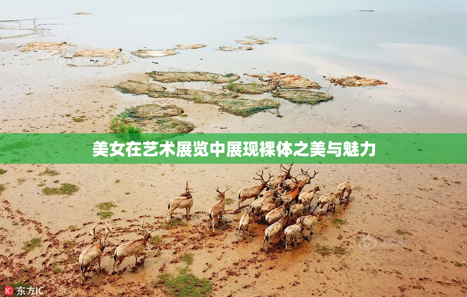 美女在艺术展览中展现裸体之美与魅力