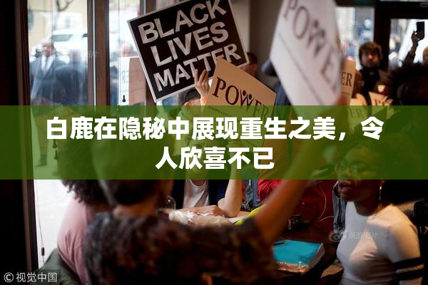 白鹿在隐秘中展现重生之美，令人欣喜不已