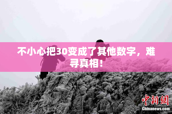 不小心把30变成了其他数字，难寻真相！