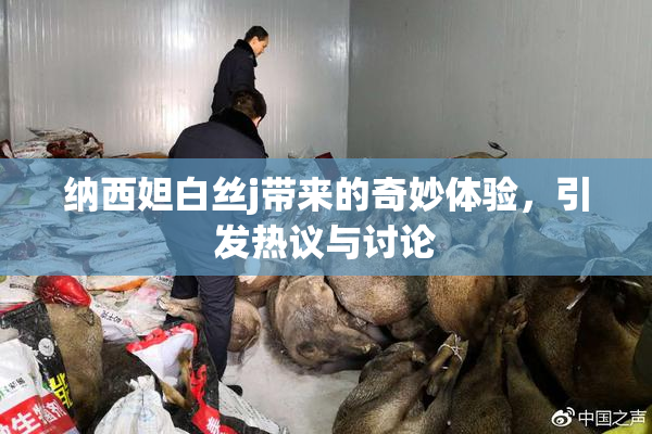 纳西妲白丝j带来的奇妙体验，引发热议与讨论