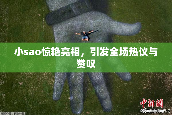 小sao惊艳亮相，引发全场热议与赞叹