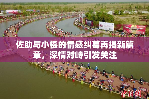 佐助与小樱的情感纠葛再揭新篇章，深情对峙引发关注