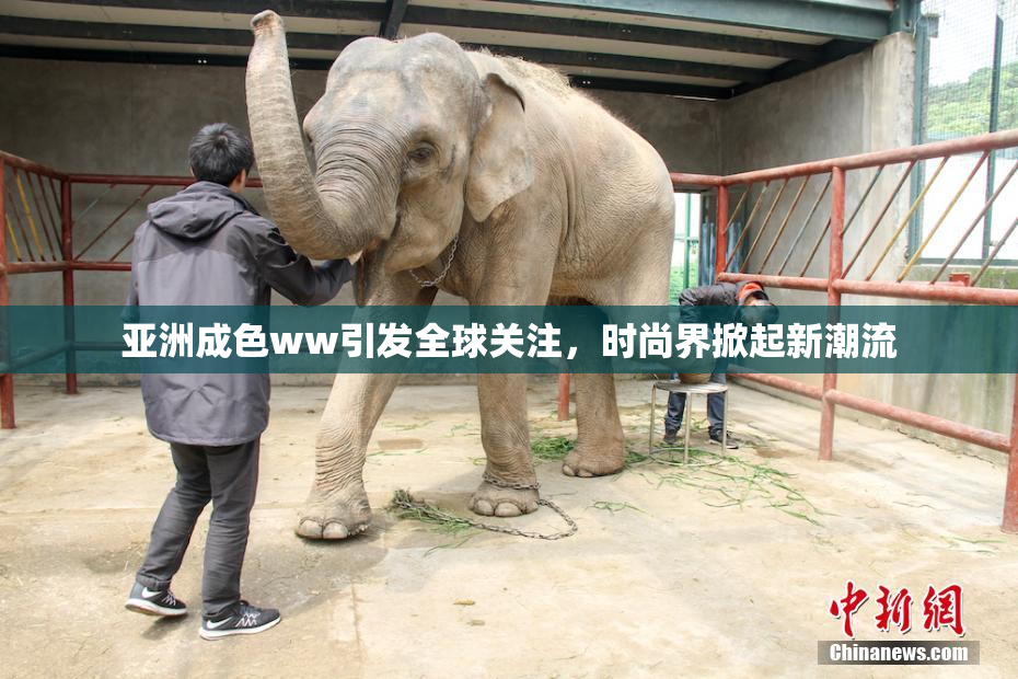 亚洲成色ww引发全球关注，时尚界掀起新潮流