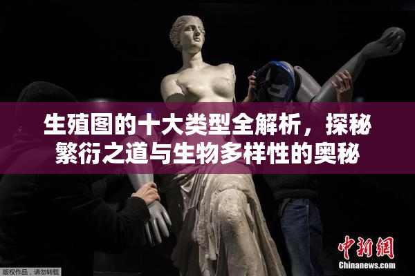 生殖图的十大类型全解析，探秘繁衍之道与生物多样性的奥秘
