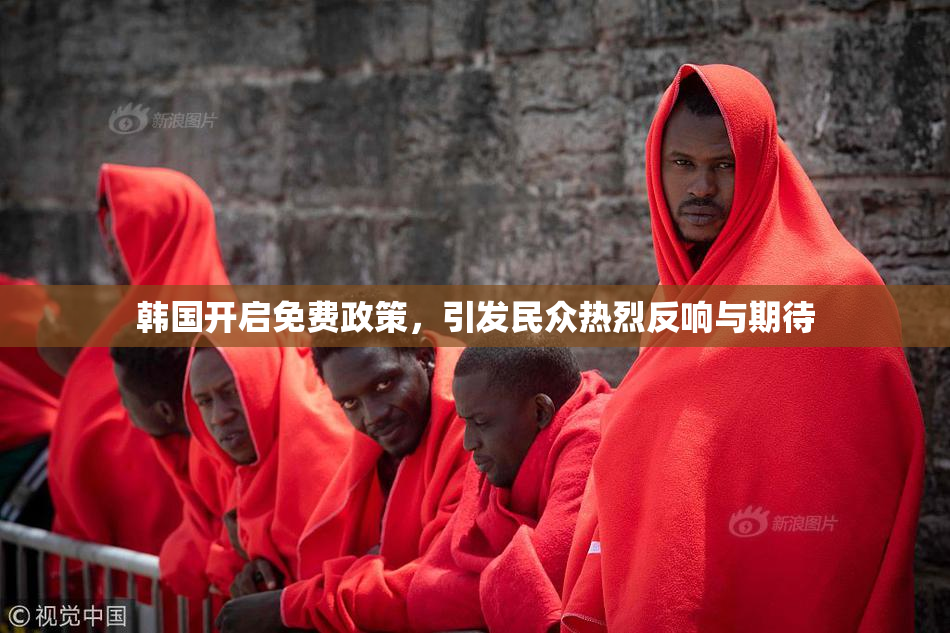 韩国开启免费政策，引发民众热烈反响与期待