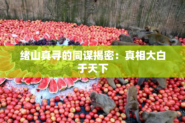 绪山真寻的同谋揭密：真相大白于天下