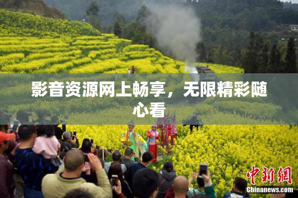影音资源网上畅享，无限精彩随心看