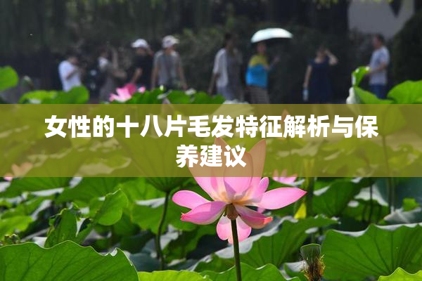 女性的十八片毛发特征解析与保养建议