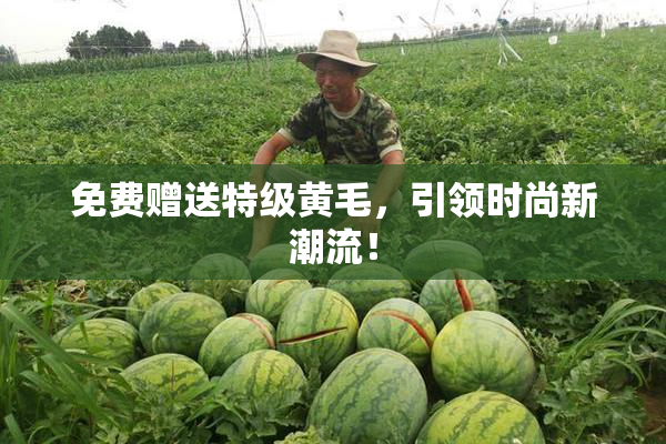免费赠送特级黄毛，引领时尚新潮流！