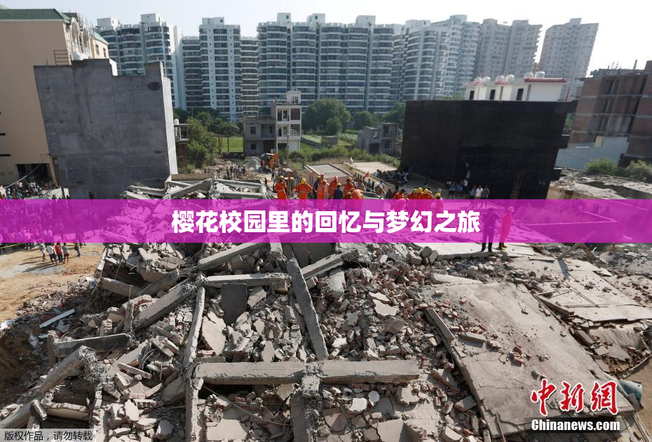 樱花校园里的回忆与梦幻之旅