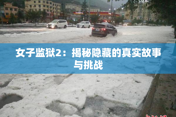 女子监狱2：揭秘隐藏的真实故事与挑战