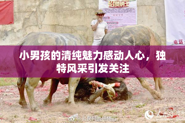 小男孩的清纯魅力感动人心，独特风采引发关注