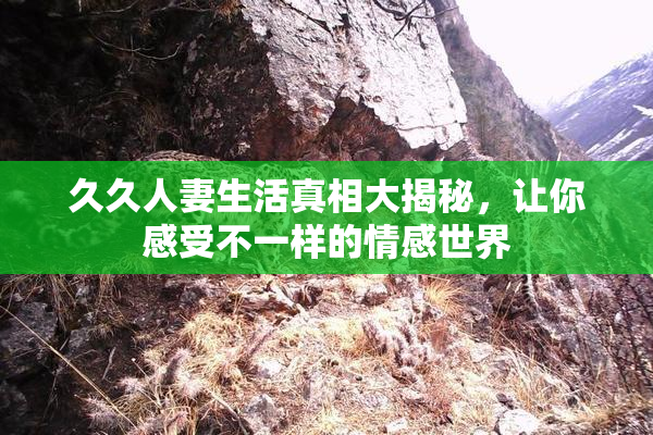 久久人妻生活真相大揭秘，让你感受不一样的情感世界