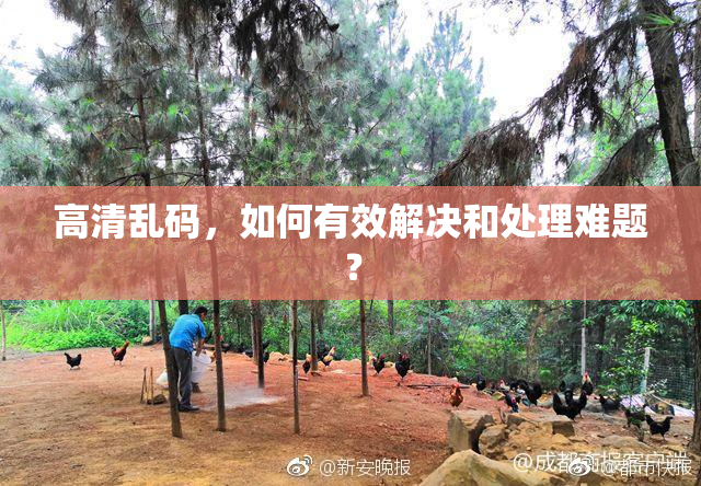 高清乱码，如何有效解决和处理难题？
