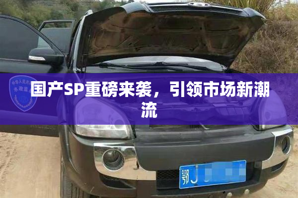 国产SP重磅来袭，引领市场新潮流