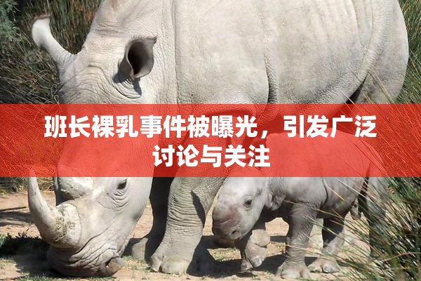 班长裸乳事件被曝光，引发广泛讨论与关注