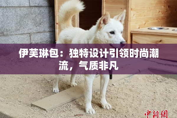 伊芙琳包：独特设计引领时尚潮流，气质非凡