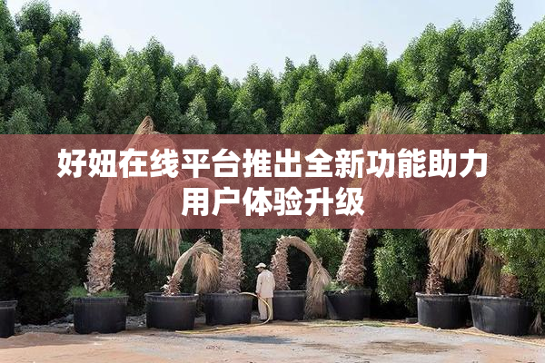 好妞在线平台推出全新功能助力用户体验升级
