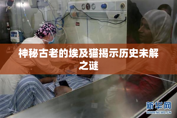 神秘古老的埃及猫揭示历史未解之谜