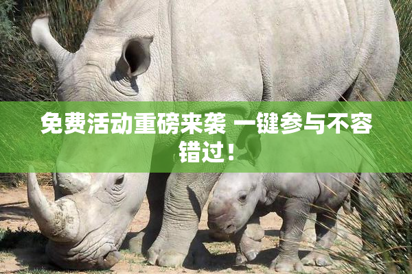 免费活动重磅来袭 一键参与不容错过！