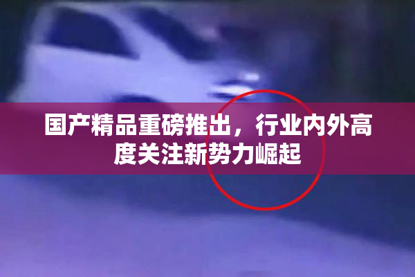 国产精品重磅推出，行业内外高度关注新势力崛起