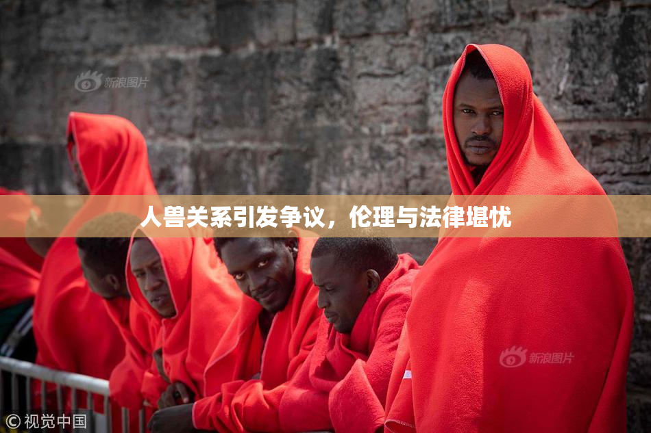 人兽关系引发争议，伦理与法律堪忧