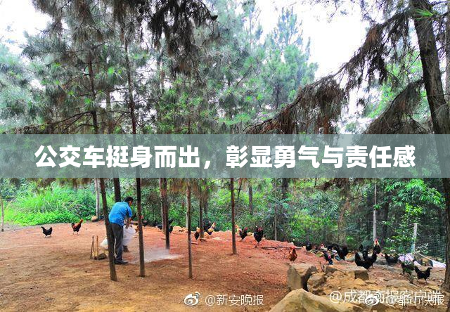 公交车挺身而出，彰显勇气与责任感