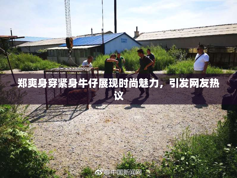 郑爽身穿紧身牛仔展现时尚魅力，引发网友热议