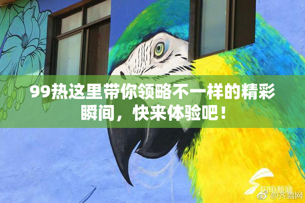 99热这里带你领略不一样的精彩瞬间，快来体验吧！