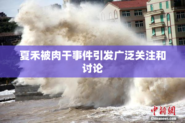 夏禾被肉干事件引发广泛关注和讨论