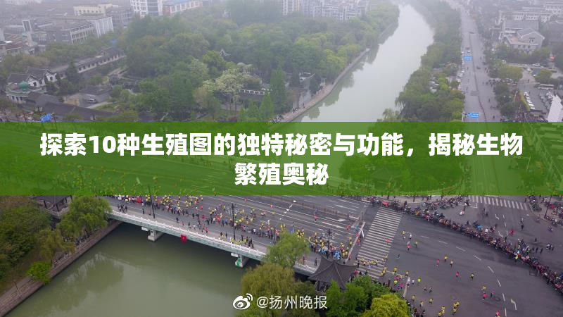 探索10种生殖图的独特秘密与功能，揭秘生物繁殖奥秘