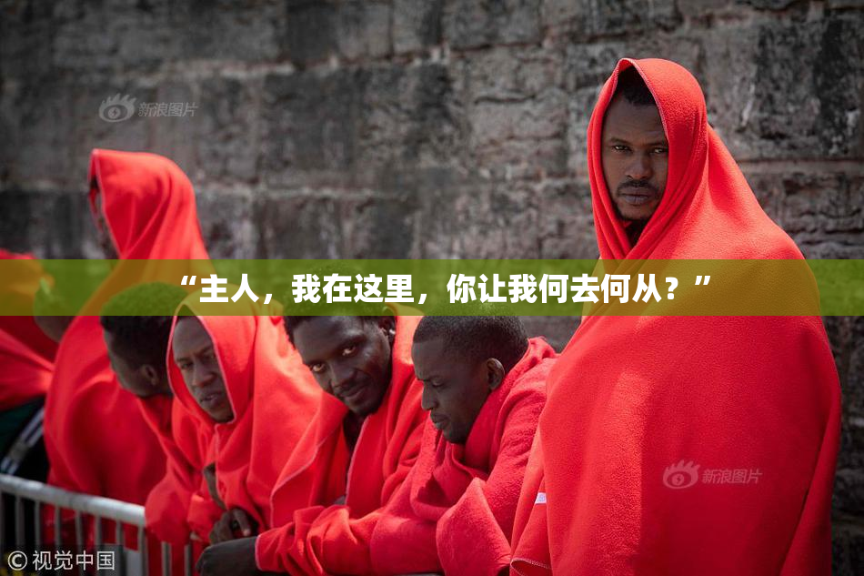 “主人，我在这里，你让我何去何从？”