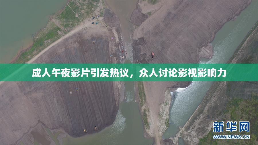 成人午夜影片引发热议，众人讨论影视影响力