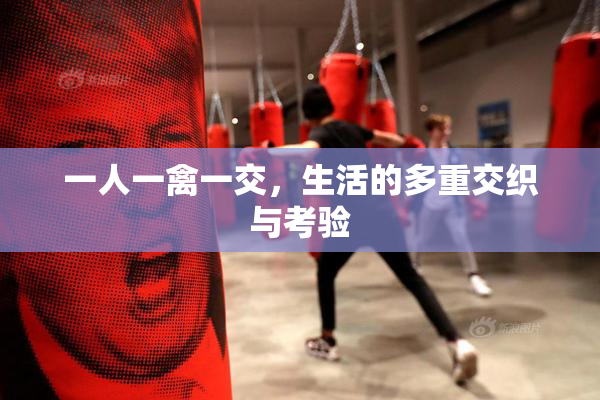 一人一禽一交，生活的多重交织与考验